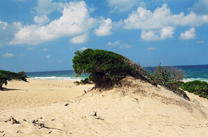 Piscinas