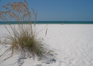 Spiaggia bianca