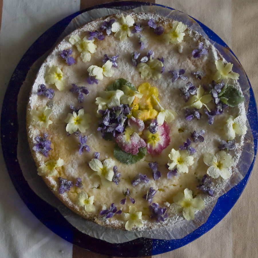 Torta con primule e violette raccolte nel campo - fatta dalla nonna Dea